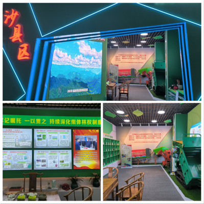 綠色與科技融合 沙縣區特色展館亮相第十七屆林博會引領銷售新趨勢