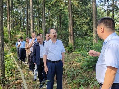 科技賦能，生態(tài)富民 福建省林業(yè)局領(lǐng)導(dǎo)赴福州、寧德調(diào)研林下經(jīng)濟(jì)與電子產(chǎn)品銷(xiāo)售新模式